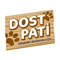 Dostpati