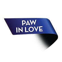 Paw in Love